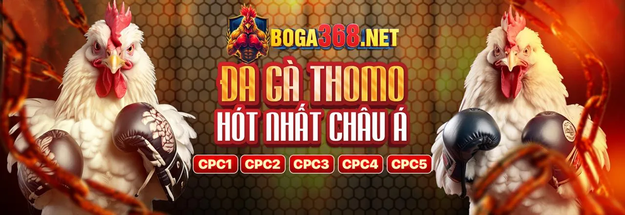 Điều Khoản Dịch Vụ của d9bet trang chủ chính thức, thể hiện sự minh bạch và cam kết an toàn