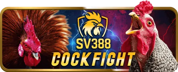 Hoàn trả d9bet