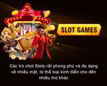 Bảo Mật Tối Ưu d9bet