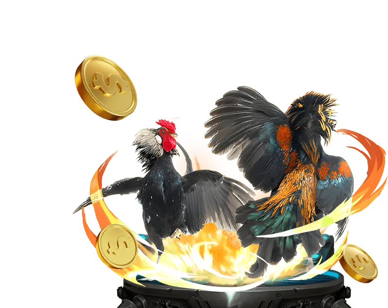 Hỗ Trợ VIP D9BET